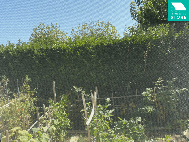 Mise en place d'une moustiquaire en aluminium pour fenêtre à Guilherand-Granges 07500 proche de Valence 26000