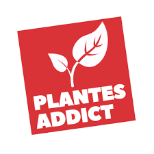 VENTES DE PLANTES Saint-Péray La jardinerie By Plantes Addict